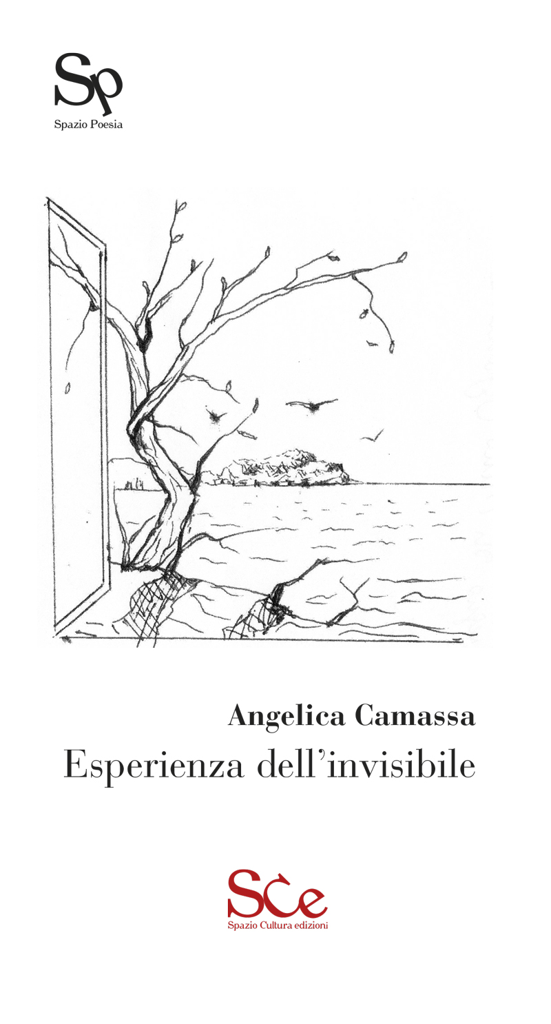 copertina-camassa-poesie_web
